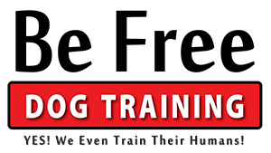 Be Free Dog Training